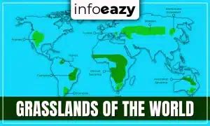 Districts of Madhya Pradesh, Area (sq km), Population, Map & HQ