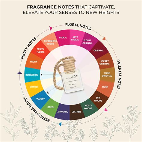 Buy Hanging Car Pod Freshener Icy Blast | Long Lasting Fragrance ...