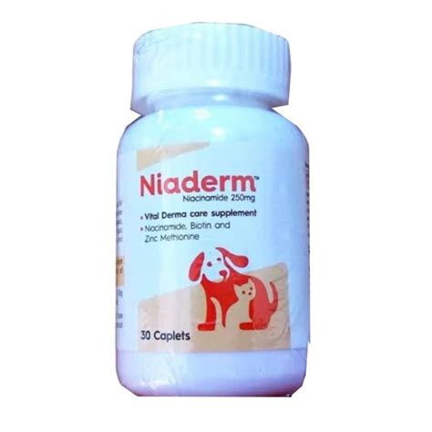 Shop Vvaan Niaderm Niacinamide 500mg 30 Caplets India