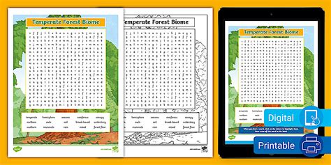 Temperate Forest Biome Word Search for 3rd-5th Grade