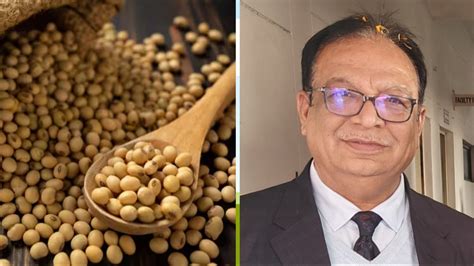 Soybean Cultivation: खरीफ सीजन में सोयाबीन की खेती से किसान कर सकते हैं ...