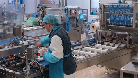 Premium Gorgonzola Packaged with Reliable Vacuum Technology from Busch ...