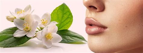 Best Naturally Tinted Lip Balms for Full, Soft Pink Lips – La Pink