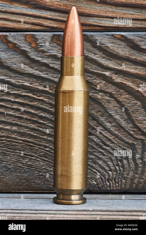 What Is a Full Metal Jacket Bullet 的图像结果