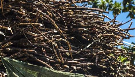 Praj, IATA & ISMA sign MoU to develop SAF Carbon Assessment ...