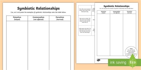 Symbiotic Relationship Worksheet | Ready-to-Print Resources