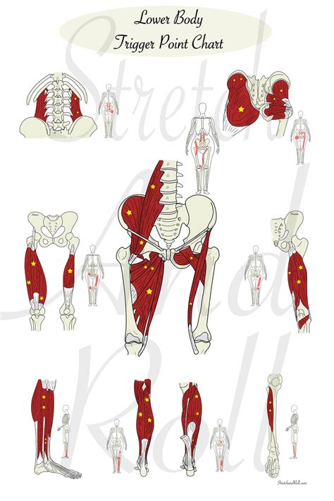 Upper Body - Trigger Point Chart - Muscle Anatomy Art - Chiropractic - Massage Therapist ...