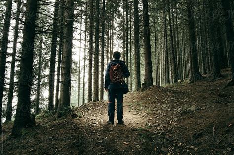 Image result for Person Exploring