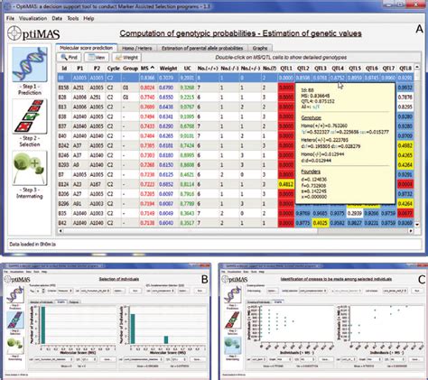 Optima Interface 的图像结果