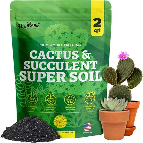 Amazon.com : Cactus Soil Potting Mix Succulent Soil Potting Mix for ...