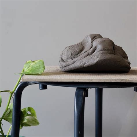 Box Turtle – Lagavi