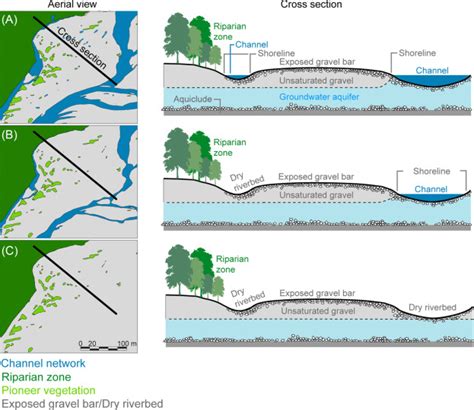 Image result for Topic 2 Ecosystem Dynamics Summary Notes