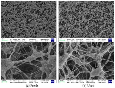 Investigation of CO2 Absorption Rate in Gas/Liquid Membrane Contactors ...