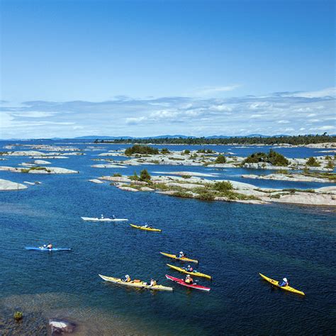 Kite 的图像结果