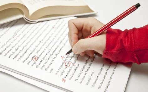 Image result for Essay Reading