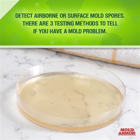 Mold Armor Indoor Mold Test Kit - Detects Mold Presence, Quick Results ...