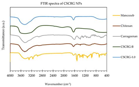 Assessment of Antifungal Efficacy and Release Behavior of Fungicide ...