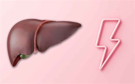 Image result for Liver Function Fuites