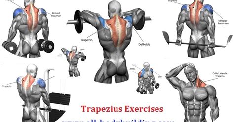 Killer Traps Training: Tips For Impressive Traps! ~ multiple fitness
