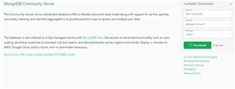 Image result for MongoDB Compass Shell