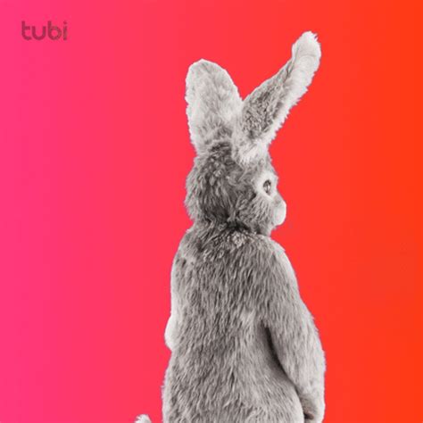 Image result for Tubi Activation Code