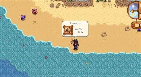 Flounder Fish Stardew Valley at Annie Ettinger blog