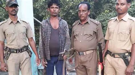 Elephant poaching racket busted in Athagarh, 1 held