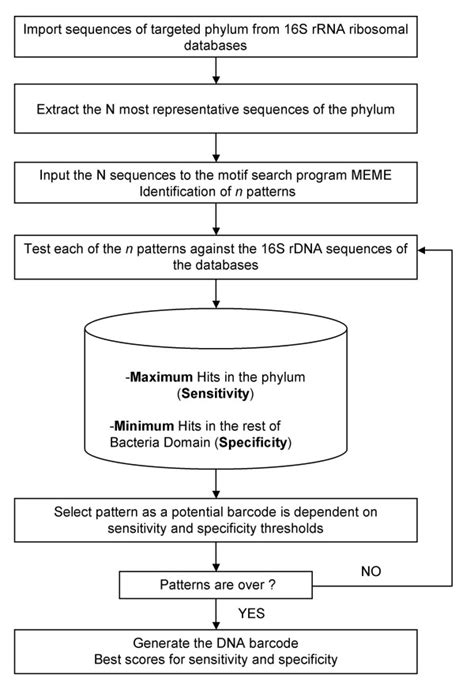 Image result for DNA Barcoding Flow Chart