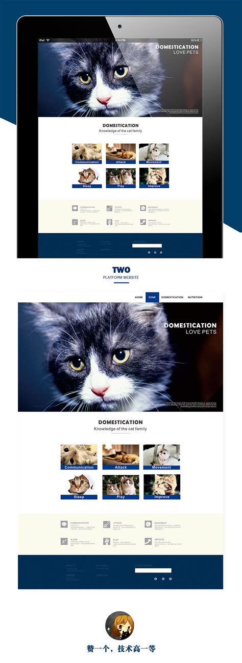 宠物网页页面设计|网页|企业官网|骆良乡 - 原创作品 - 站酷 (ZCOOL)