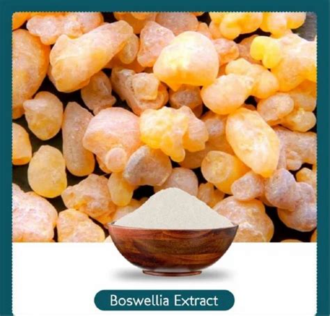 Boswellia Serrata Extract Powder - AKBA Boswellia Acid 20% Manufacturer ...