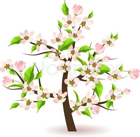 Image result for Simple Apple Tree Drawing