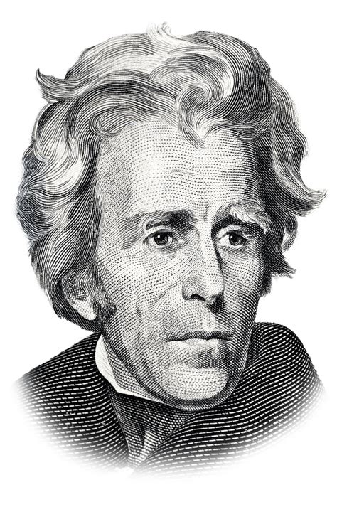 Andrew Jackson Drawing at PaintingValley.com | Explore collection of ...