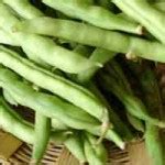 Zapečene mahune – Recepti