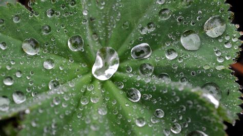 Cape Cod weather forecast: Much needed rain predicted for region