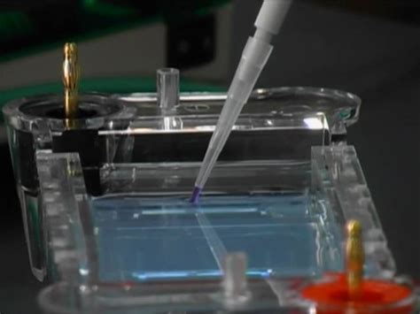 BIO TECH KIT - Northern Blotting Teaching Kit Manufacturer from Chennai