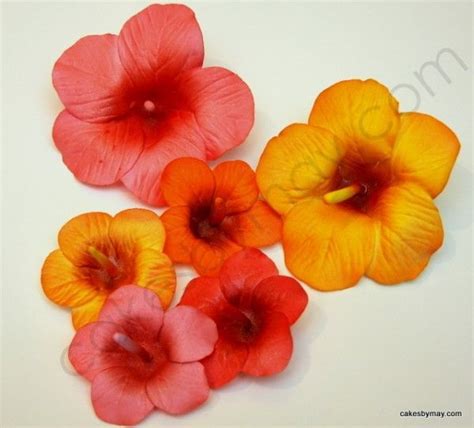 Image result for Gumpaste Hibiscus Tutorial