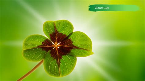 Image result for Energetically Programmed Audio Good Luck