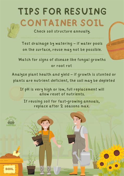 How To Reuse Container Soil at Lucas Kemble blog