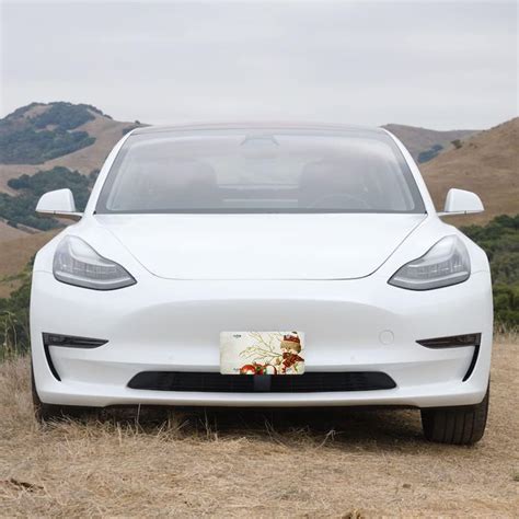 Buy Lefolen Snowman Car Front License Plates Winter Snowman and Red ...