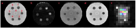 Direct Jet Co-Electrospinning of Spinal Cord-Mimicking Phantom for ...