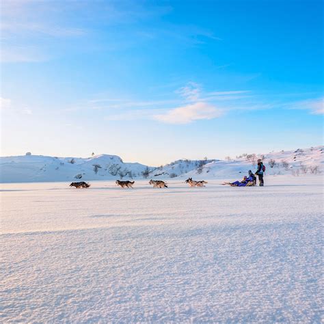 HUSKY TOURS BY SNOWHOTEL KIRKENES (2026) All You Need to Know BEFORE ...
