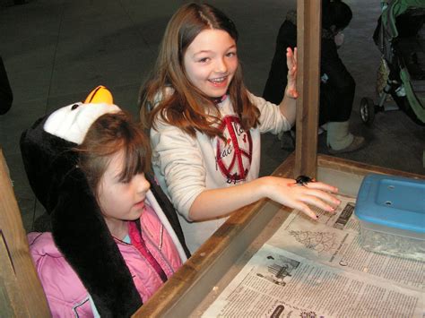 Image result for JavaScript Fun-Cation