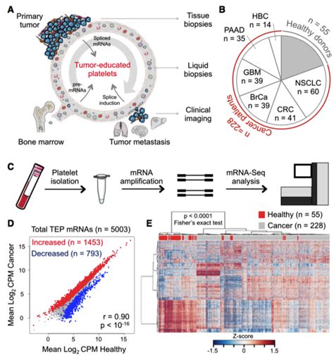 Process Body 的图像结果