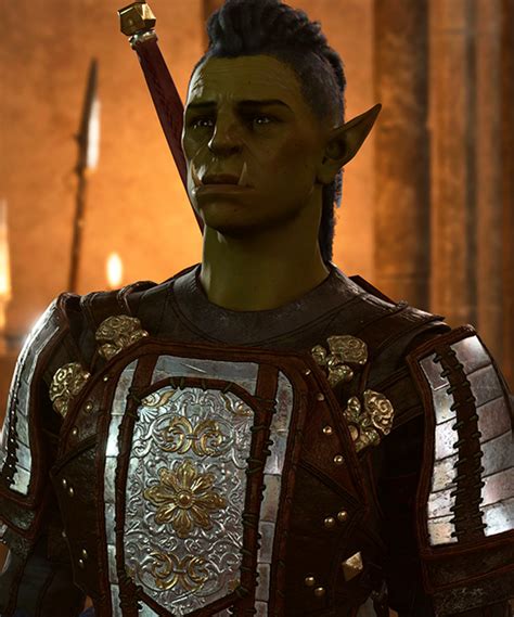 Lady Durinbold's Bodyguard - bg3.wiki