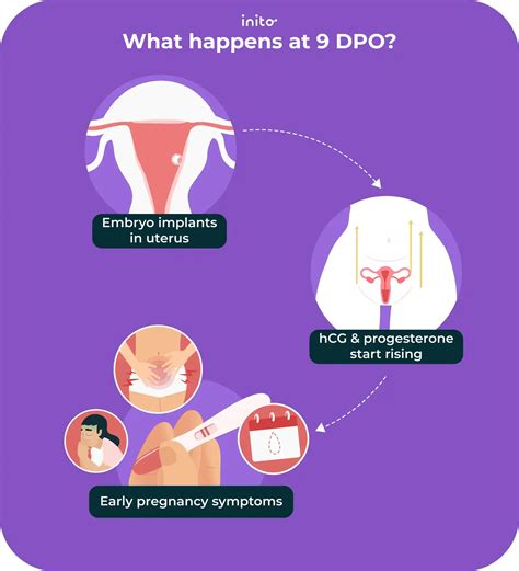 9 DPO: What to Know About Symptoms and Testing