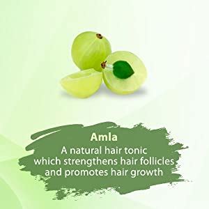 Buy Himalaya Gentle Daily Care Protein Shampoo | Enriched with Chickpea ...