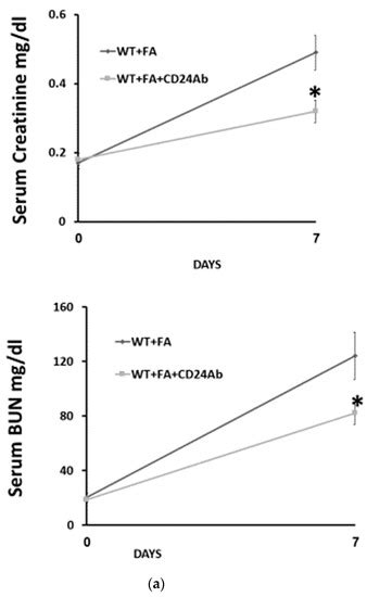Renal Tubular CD24 Upregulation Aggravates Folic Acid Induced Acute ...