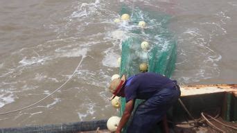 舟山渔民迎来复产复工第一水 透骨新鲜的海鲜来了_手机新浪网