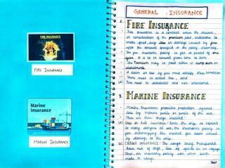 Insurance Project Class 11 的图像结果