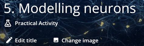 Image result for Stile Class Code